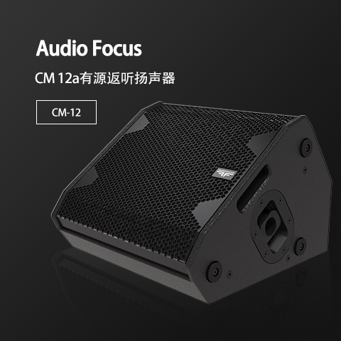 ARES CM-12 大中型會(huì)議室音響套裝 舞蹈培訓(xùn)室學(xué)校專(zhuān)用音響系統(tǒng)設(shè)備全套