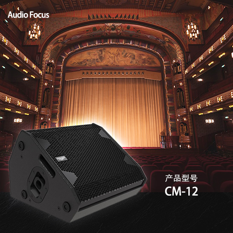 ARES CM-12 大中型會(huì)議室音響套裝 舞蹈培訓(xùn)室學(xué)校專(zhuān)用音響系統(tǒng)設(shè)備全套